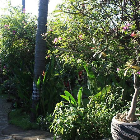 Cleopatra Beach Bungalows Hotel Lovina Kültér fotó